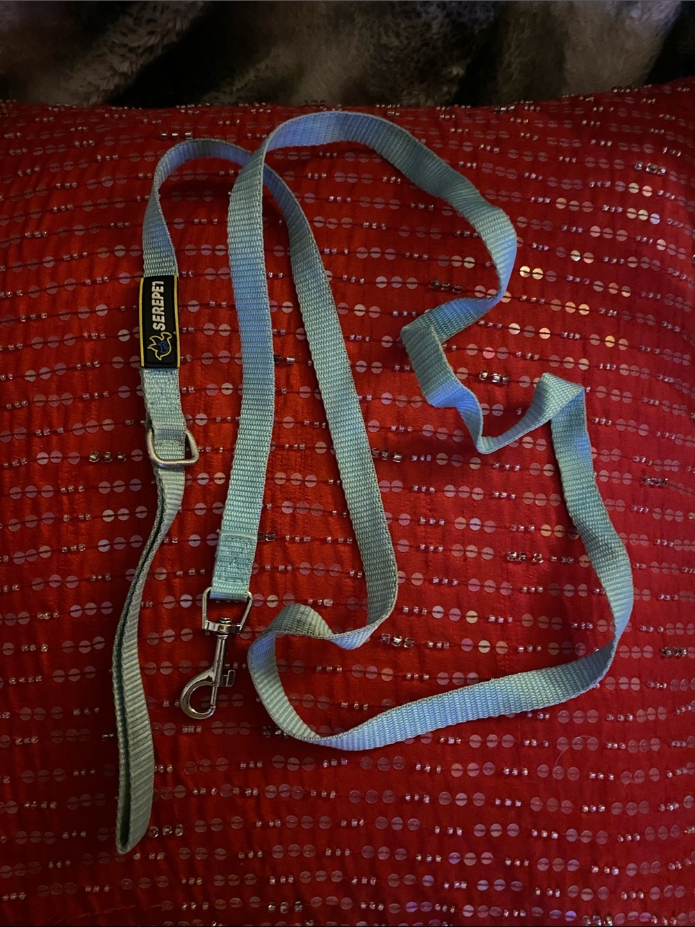 Serepet Logo Light Blue Doggie 🐶 Leash